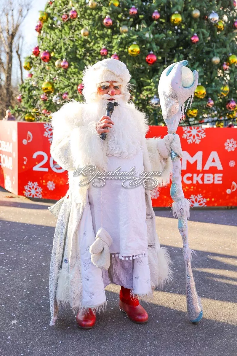 Сказочное интерактивное театрализованное новогоднее шоу